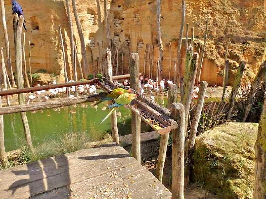 149 BIO PARC DE DOUE LA FONTAINE 6- 2016_000013.jpg